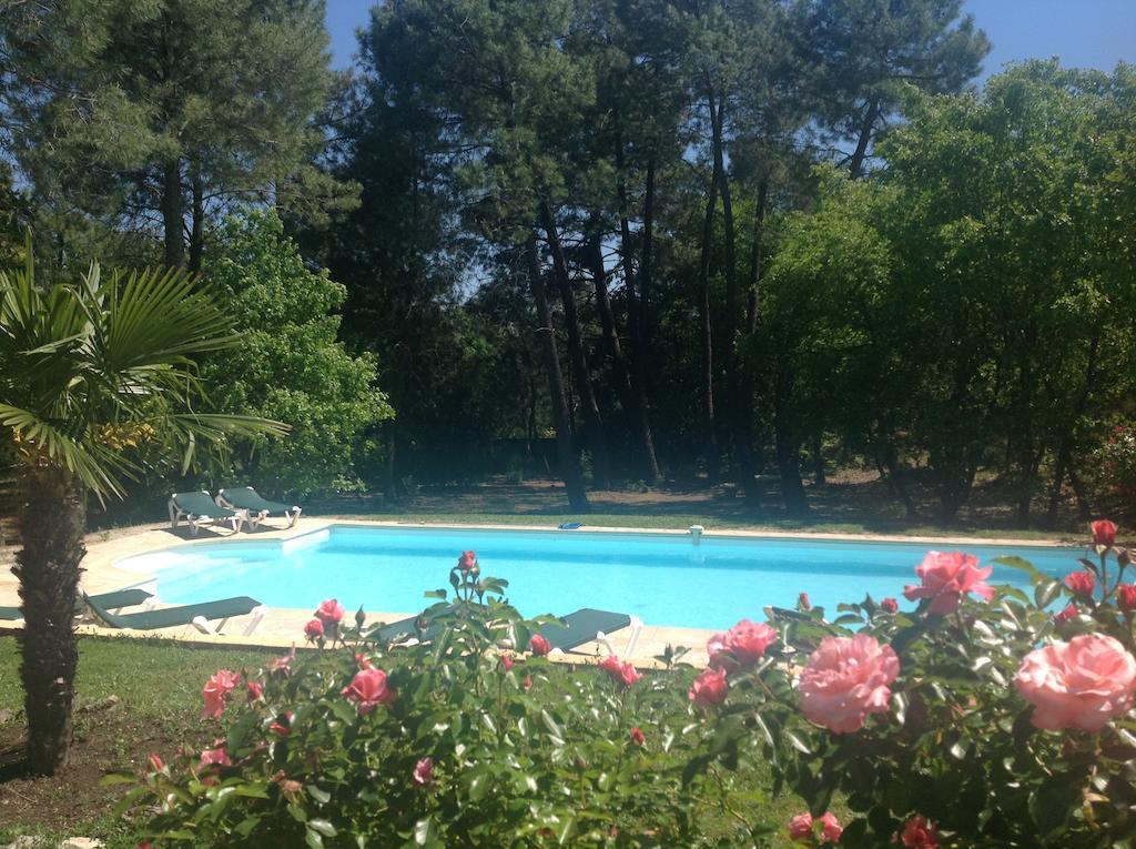 Le Clos Des Cigales รูสซียง ห้อง รูปภาพ