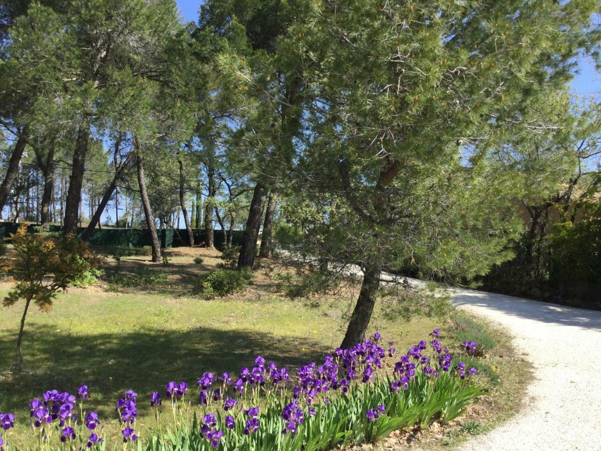 Le Clos Des Cigales รูสซียง ภายนอก รูปภาพ